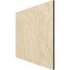 Ekena Millwork 11 3/4W x 11 3/4H x 3/8T Wood Hobby Board, Birch HBW12X12X375ABI